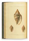 (SHELLS.) Perry, George. Conchology, or the Natural History of Shells.